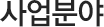 사업분야
